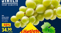 B�L� HROZNY STOLN� BEZSEMENN�