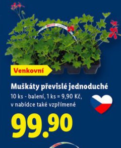 MU�K�TY P�EVISL� JEDNODUCH�