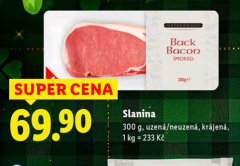 SLANINA