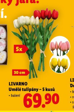 UM�L� TULIP�NY
