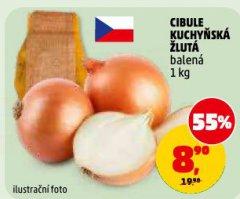 CIBULE KUCHY�SK� �LUT�
