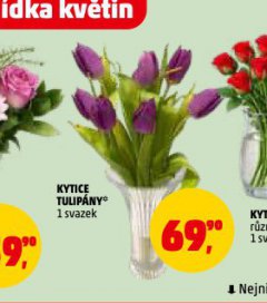 KYTICE TULIPÁNY