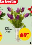 KYTICE TULIP�NY