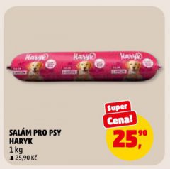 HARYK SAL�M PRO PSY