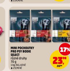 BODIE POCHOUTKY PRO PSY