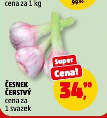 �ESNEK �ERSTV�