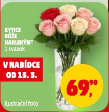 KYTICE RَE HARLEK�N