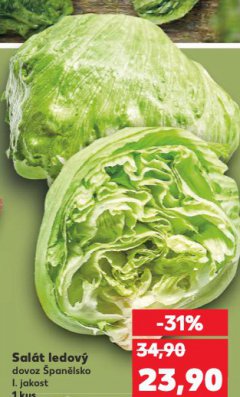 SALÁT LEDOVÝ