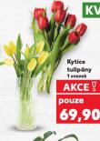 KYTICE TULIP�NY