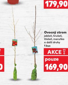 OVOCNÝ STROM