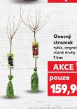 OVOCN� STROMEK