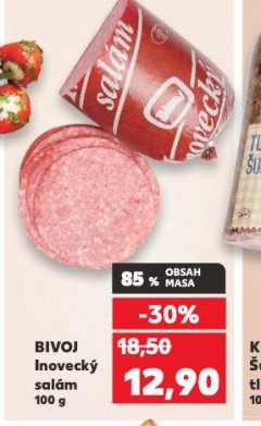 BIVOJ INOVECK� SAL�M