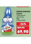 KINDER SURPRISE ZAJ��EK