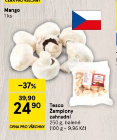 �AMPIONY ZAHRADN�