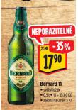 PIVO BERNARD