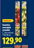 SAZENICE OVOCN�CH STROMK�