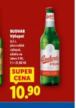 BUDVAR V��EPN�