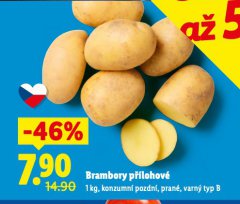 BRAMBORY P��LOHOV�