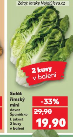 SALÁT ŘÍMSKÝ MINI