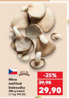 HLÍVA ÚSTŘIČNÁ KLOBOUČKY