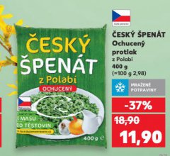 �ESK� �PEN�T OCHUCEN� PROTLAK