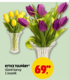 KYTICE TULIPÁNY
