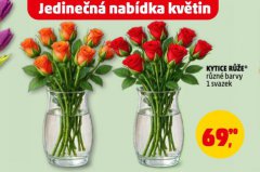 KYTICE RŮŽE