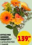 KYTICE MIX GERBERY