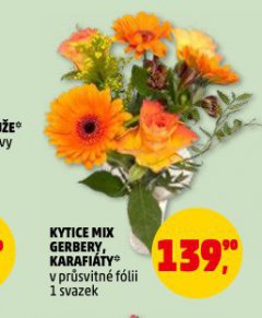 KYTICE MIX KARAFIÁTY