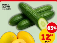 OKURKA SALÁTOVÁ