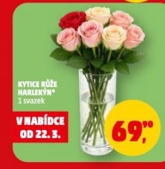 KYTICE RŮŽE HARLEKÝN