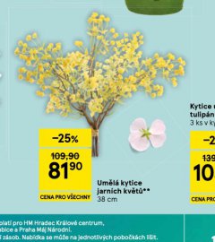 UM�L� KYTIC E JARN�CH KV�T�