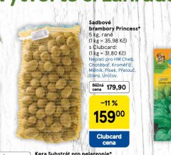 SADBOV� BRAMBORY PRINCESS