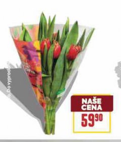 TULIP�NY