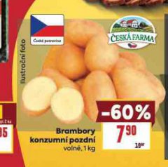 BRAMBORY KONZUMN� POZDN�