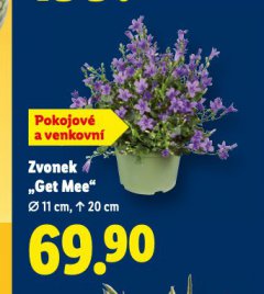 ZVONEK GET MEE