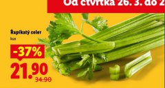 �AP�KAT� CELER