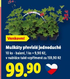 MU�K�TY P�EVISL� JEDNODUCH�