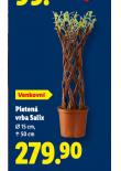 PLETEN� VRBA SALIX