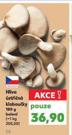 HL�VA �ST�I�N� KLOBOU�KY