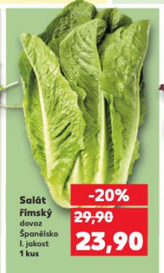 SAL�T ��MSK�