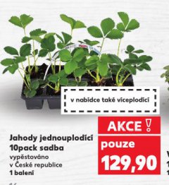 JAHODY JEDNOUPLOD�C�