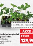 JAHODY JEDNOUPLOD�C�