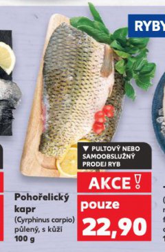 POHO�ELICK� KAPR