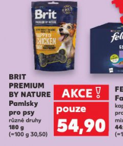 BRIT PAMLSKY PRO PSY