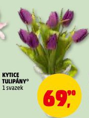 KYTICE TULIP�NY