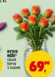 KYTICE RŮŽE