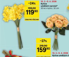 KYTICE UMĚLÝC H NARCISŮ