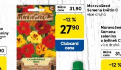 MORAVOSEED SEMENA KVĚTIN C