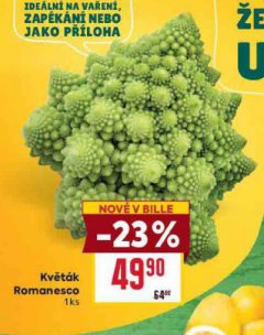 KV�T�K ROMANESCO